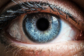 Iris Blog Size